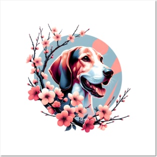 Treeing Walker Coonhound Joy in Spring Cherry Blossoms Posters and Art